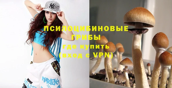сатива Вяземский