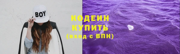 сатива Вяземский