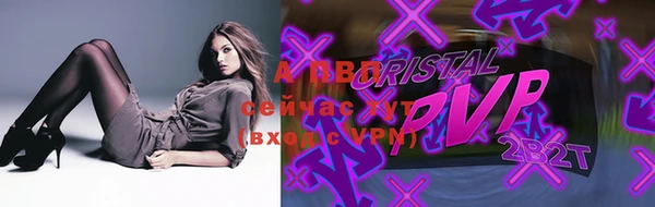 сатива Вяземский