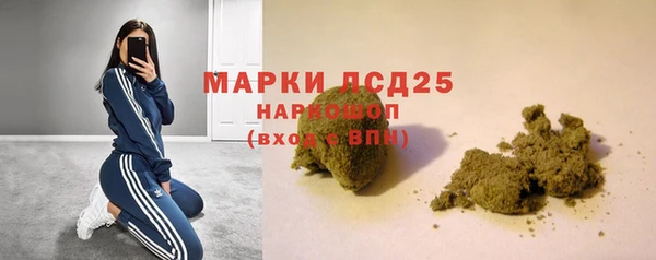 сатива Вяземский
