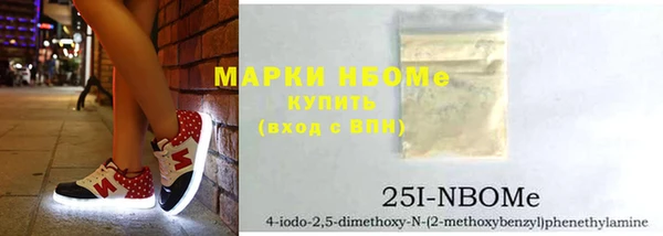 сатива Вяземский