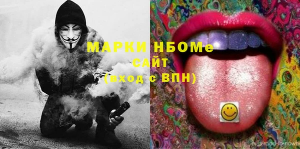 сатива Вяземский