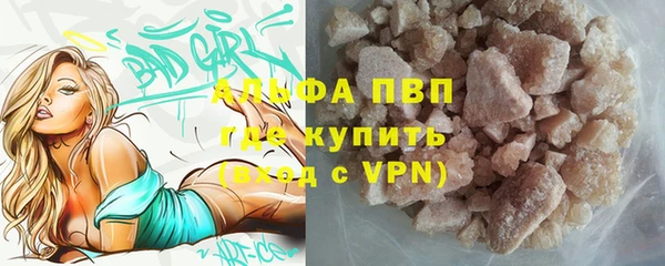 сатива Вяземский