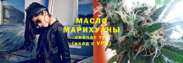 сатива Вяземский