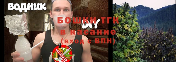 сатива Вяземский