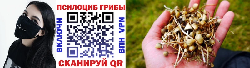 Псилоцибиновые грибы Magic Shrooms  Коломна 